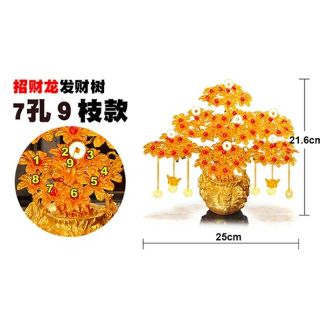Cây kim tiền tài lộc size 7