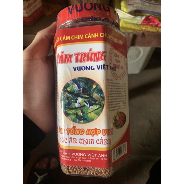 Cám Trứng Tổng Hợp vương việt anh, cám chim tổng hợp VVA