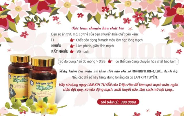 Cao lan kim tuyến Triệu Hoà