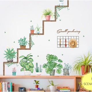 decal dán tường chậu cây trang trí