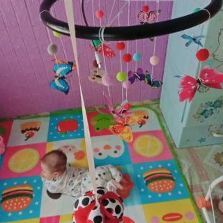 Com bo bóng bướm,đen trắng