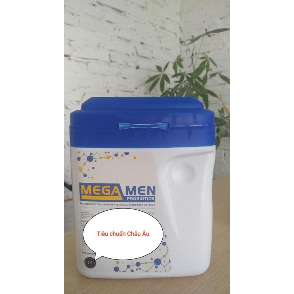 MEGA MEN tăng cường sức đề kháng, hỗ trợ tiêu hóa