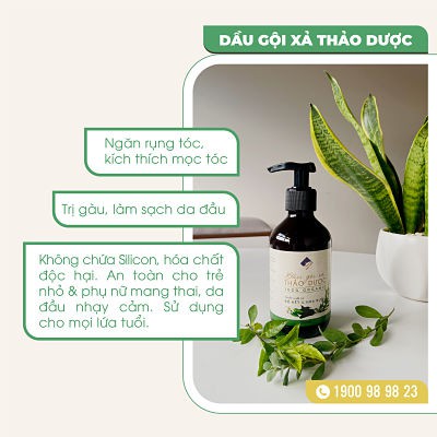 [Mã FMCGMALL -8% đơn 250K] Dầu gội xả thảo dược Bồ kết hoa bưởi ECOCARE 300ml, dầu gội thảo mộc tinh dầu hoa bưởi