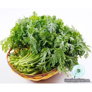 1KG Hạt Giống Rau Tần Ô/ Cải Cúc Tẻ (| Y1*W65)