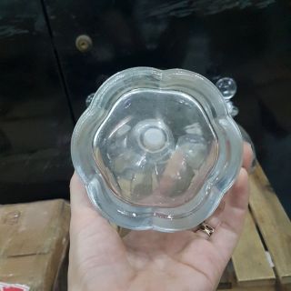Chai chứa thủy tinh 250ml - Chai thủy tinh
