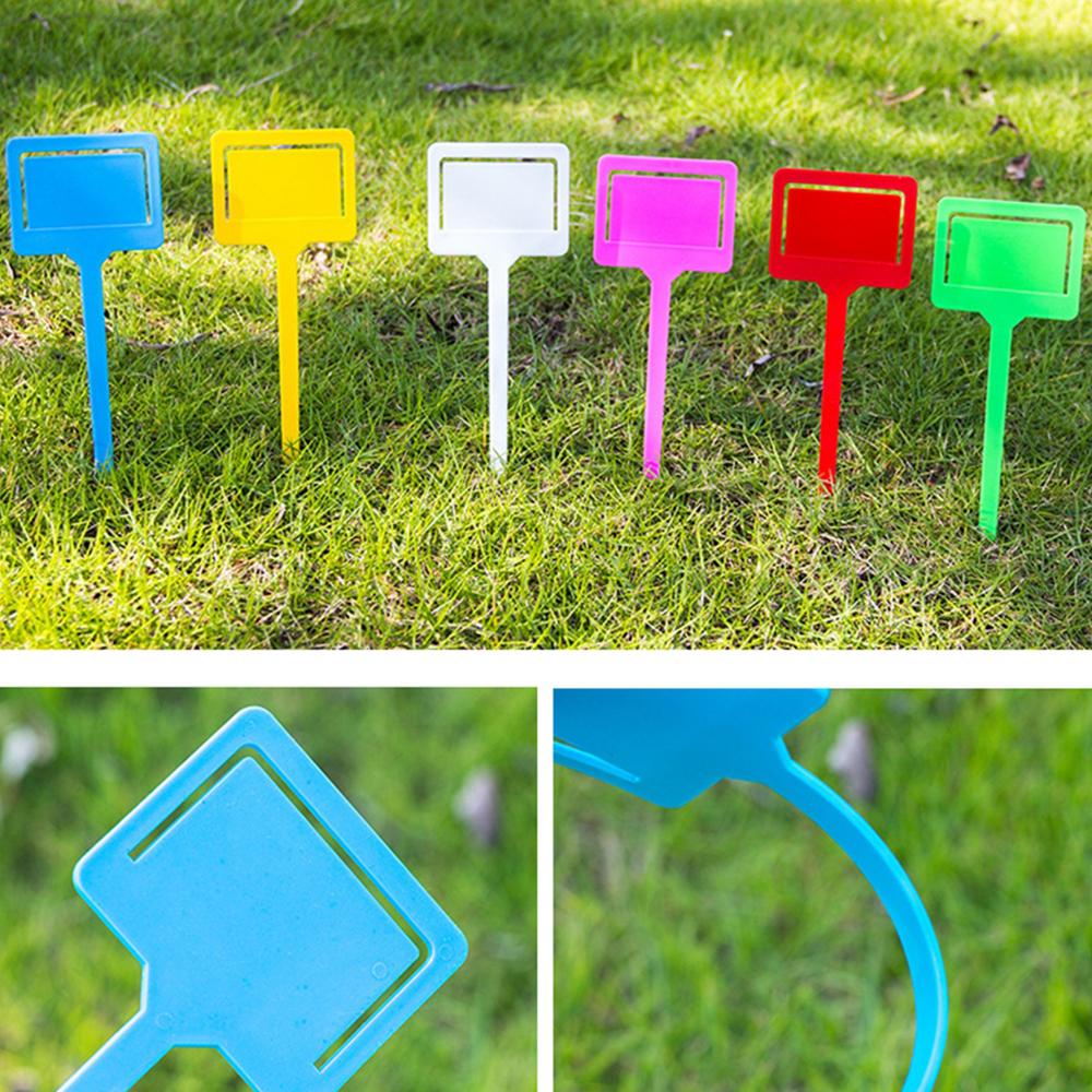 Set 20 Thẻ Đánh Dấu Phân Loại Cây Trồng Dạng Treo Tiện Dụng