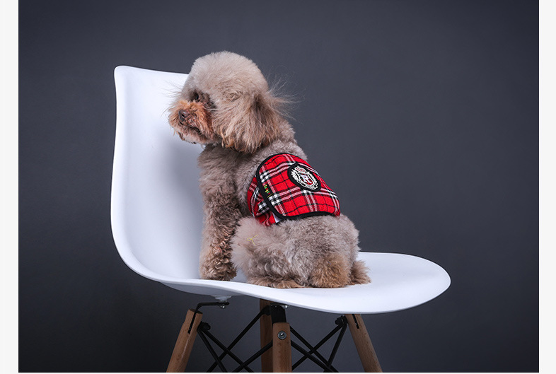 Quần Lót Sinh Lý Chống Rách Cho Thú Cưng