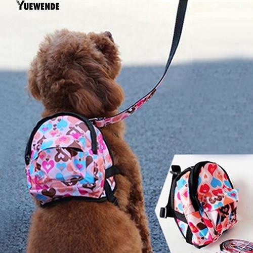 Ba lô cho thú cưng kèm dây dắt xinh xắn