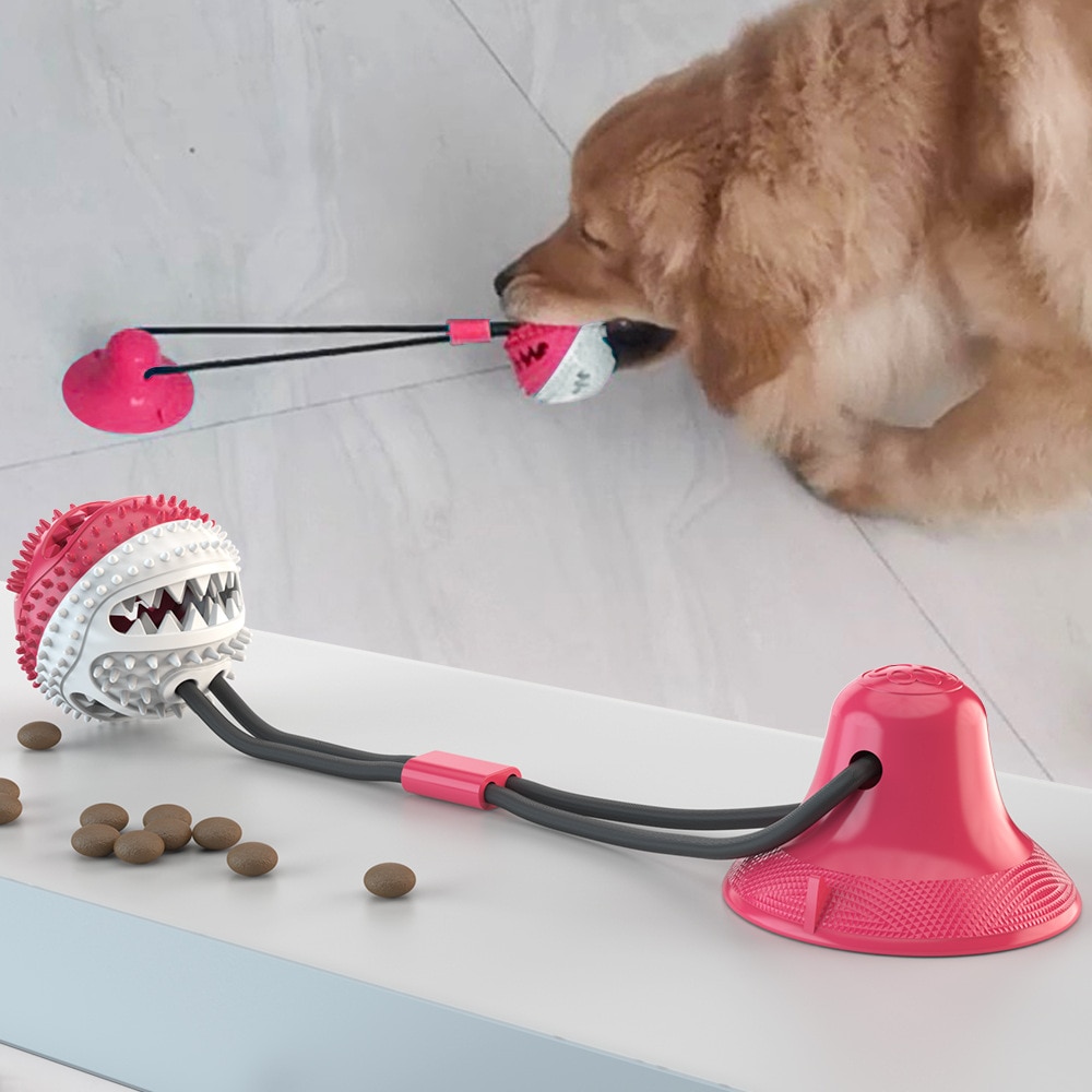 Đồ Chơi Gặm Nhai Hình Quả Bóng Có Cốc Hút Và Cốc Hút Cho Chó Cưng