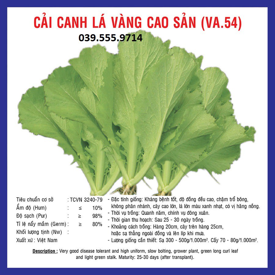 Hạt giống Cải Canh Lá Vàng Cao Sản– 20gram