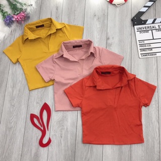 Áo thun cổ bẻ croptop chất đẹp