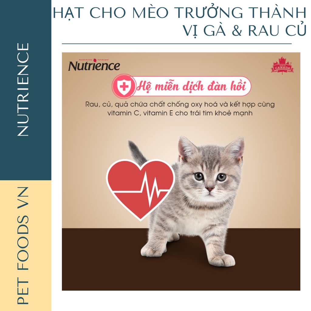 Hạt cho mèo trưởng thành NUTRIENCE Original Cat 5kg vị Gà