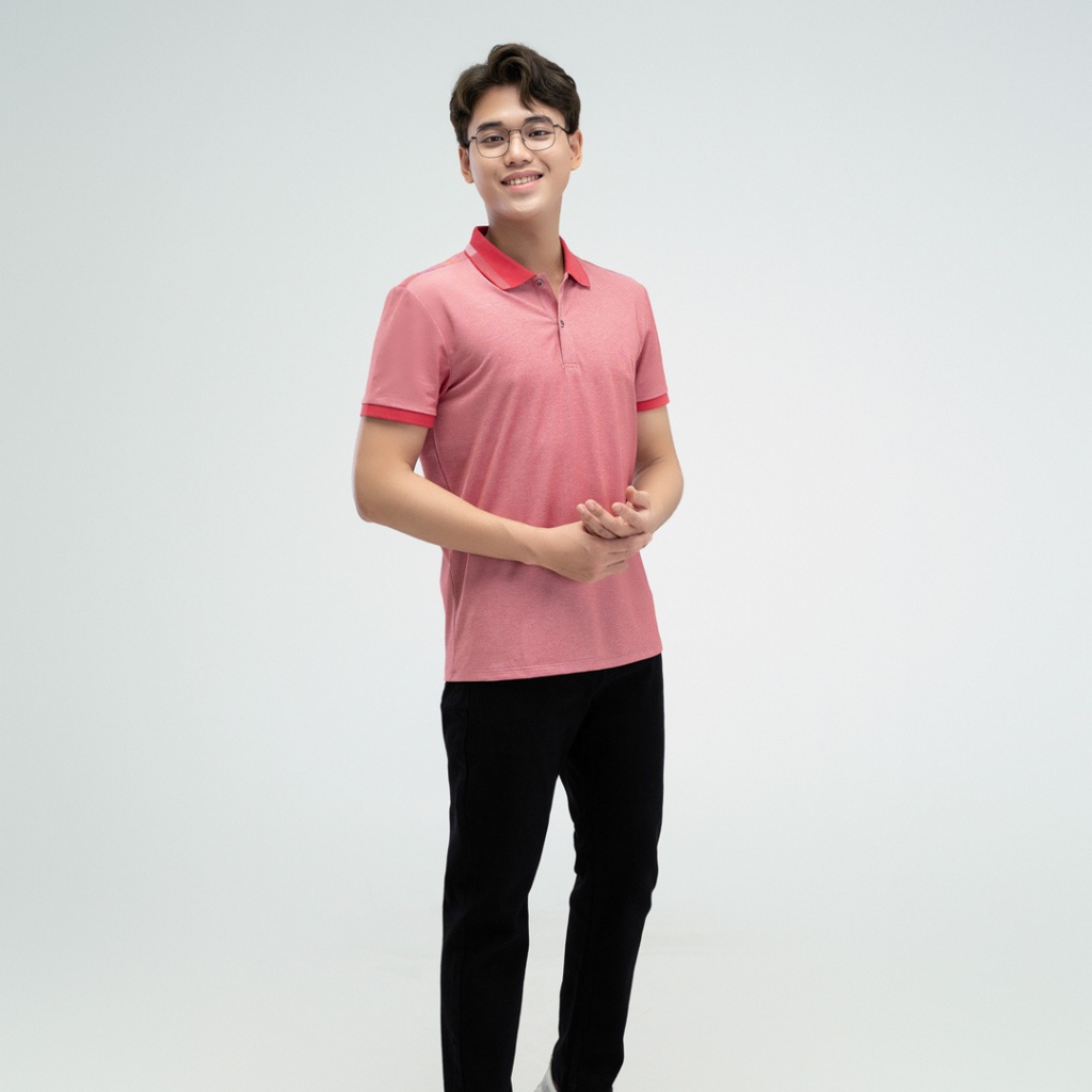 Áo Thun Polo Nam Yody Chính Hãng, Áo Phông Mắt Chim Cotton Cộc Tay Cổ Bẻ Thấm Tốt, Không Nhăn  APM3299