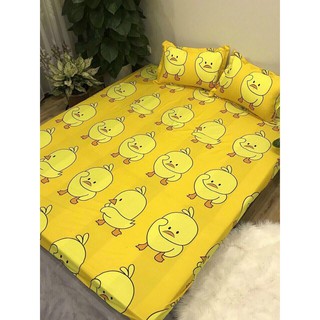Ga trải giường cotton poly cao cấp