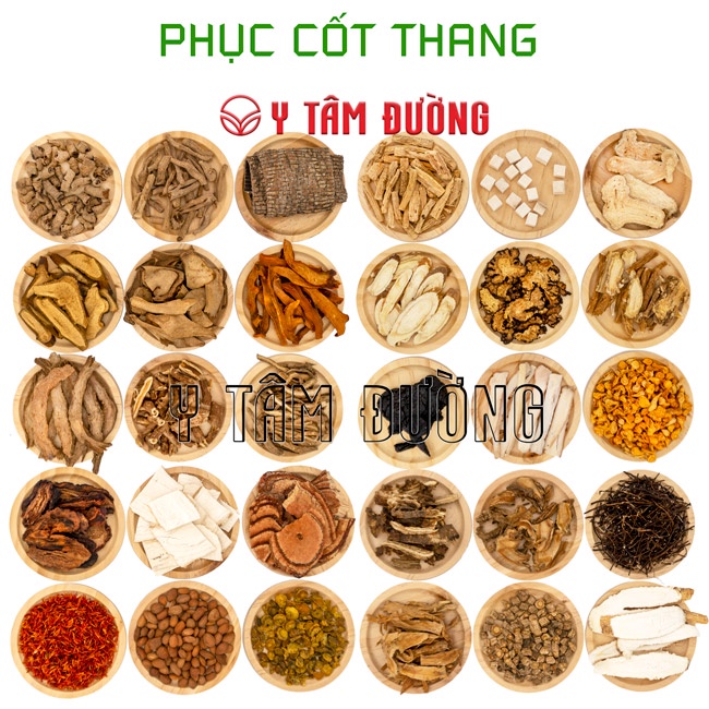 Thang ngâm rượu - Phục Cốt Thang - hỗ trợ đau thần kinh tọa, thoái hóa đốt sống cổ và lưng