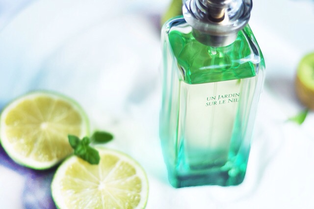 [ fullsize ] Nước hoa Hermes Un Jardin Sur Lenil Hermes Le Nil EDT 100ml | BigBuy360 - bigbuy360.vn