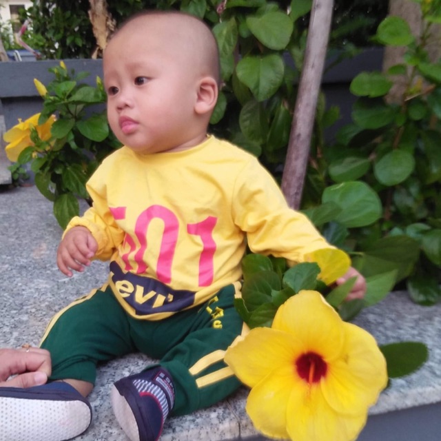 Combo ảnh chế Duyên