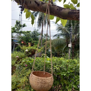 Chậu gáo dừa bộ 10