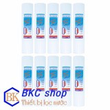 Bộ 10 lõi lọc nước số 1 PP 10 inch (trắng) - bkc1016 | BigBuy360 - bigbuy360.vn