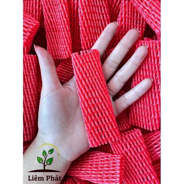 1kg xốp mận đỏ, trắng