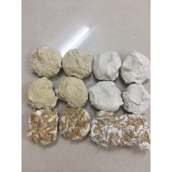 Men rượu ủ hỗ trợ kích sữa, men rượu hỗ trợ gọi sữa về và thơm sữa sau sinh