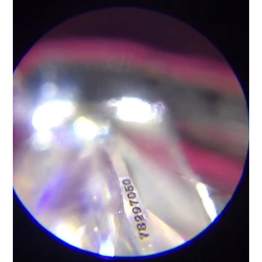 Kim cương nhân tạo Moissanite giác cắt tròn. Trang sức bạc cao cấp, nhẫn, bông tai, khuyên tai