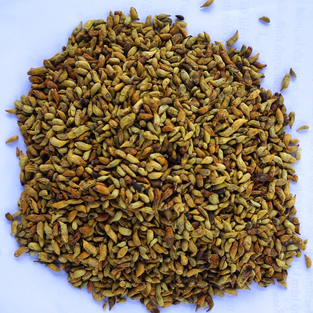 NỤ HOA HÒE SAO VÀNG – 250 GRAM