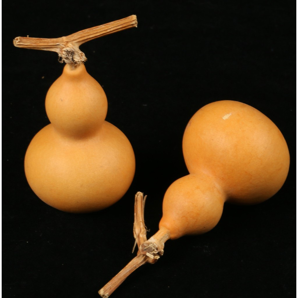 Hồ lô tự nhiên nguyên cuống bày ban thờ hoặc phòng khách | BigBuy360 - bigbuy360.vn