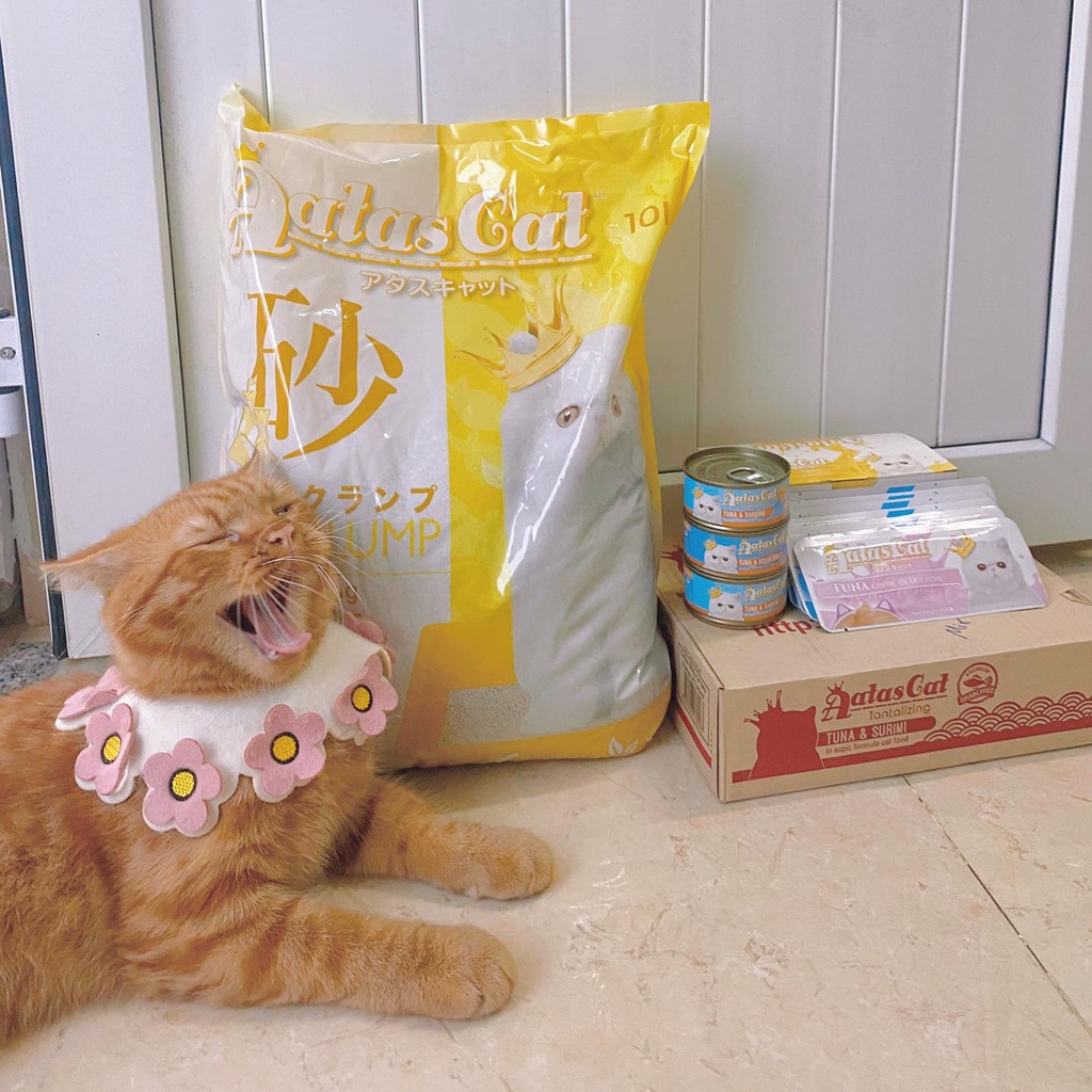Cát Vệ Sinh Cho Mèo AATAS Công Nghệ Singapore (10L)