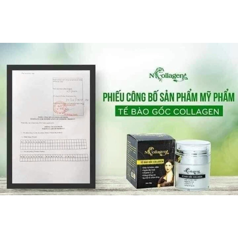 Tế Bào Gốc N COLLAGEN