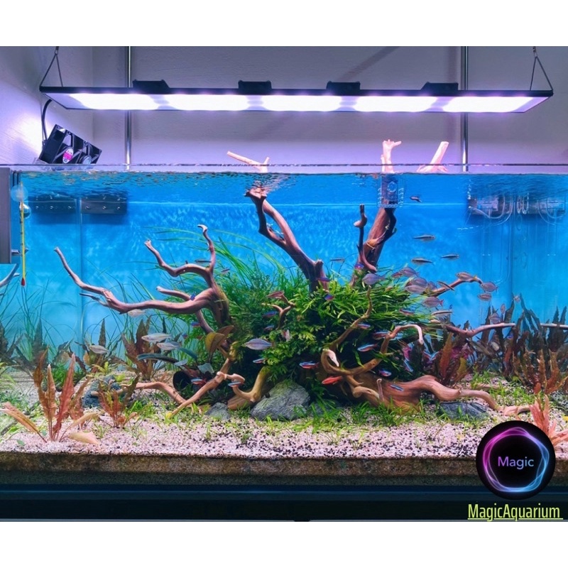 Đèn Thuỷ Sinh WRGB uvA 5054 SMD  - Magic Led Lighting