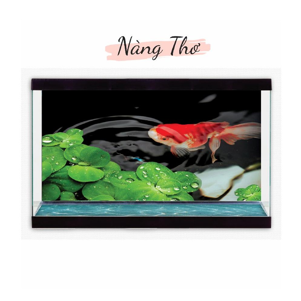 TRANH DECAL DÁN HỒ CÁ_THIẾT KẾ NÀNG THƠ