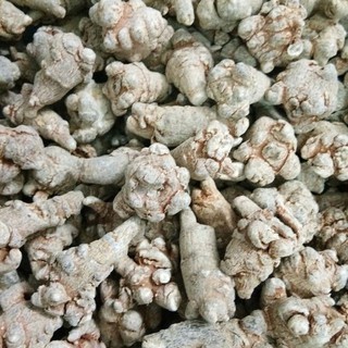 [Ảnh thật] Củ Tam Thất Bắc Khô - 1kg- hàng chuẩn không bị rút chất