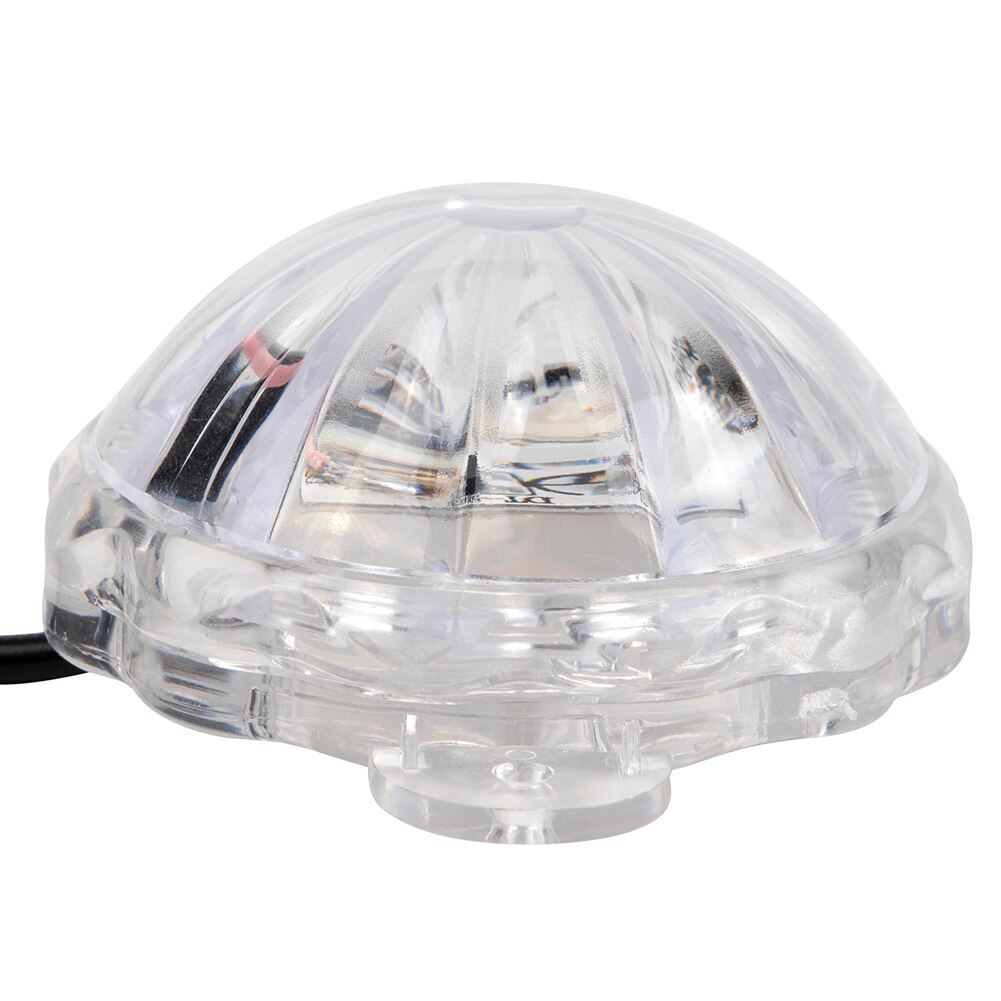 Đèn LED Nhiều Màu Sắc Gắn Đuôi Xe Máy DC 12V
