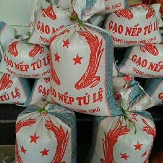 Gạo nếp Tú Lệ - đặc sản Tây Bắc