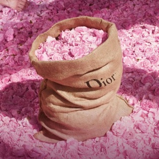 Nước hoa Miss Dior Rose mới nhất
