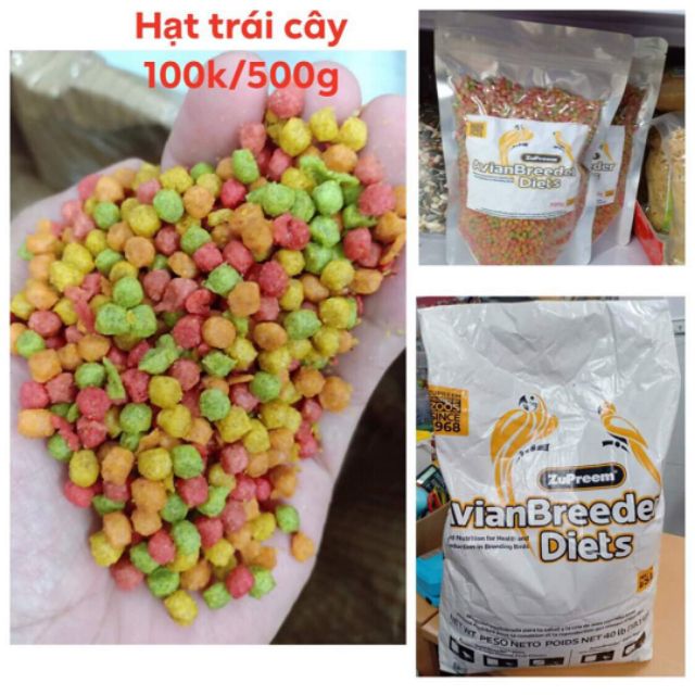 Hạt trái cây vẹt size trung đóng gói 100g/500g (chiết lẻ)