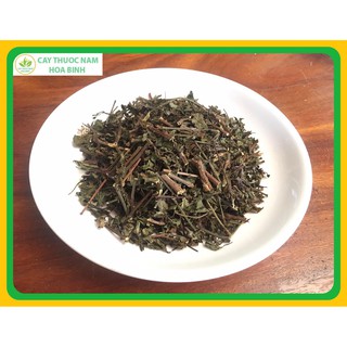 [GIÁ BUÔN] 100g CÂY RÂU MÈO HÒA BÌNH (XANH, SẠCH, THƠM)