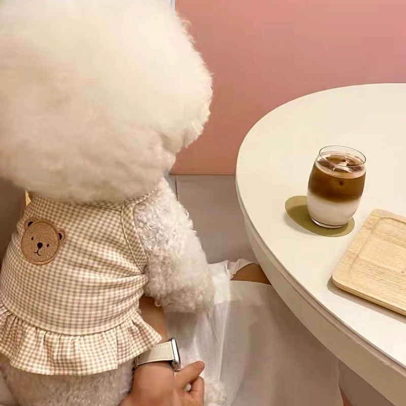 Đầm Thời Trang Mùa Hè Xinh Xắn Dành Cho Thú Cưng/áo cho chó