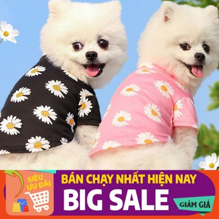 Quần áo thú cưng, Quần áo cho chó mèo, hình hoa cúc