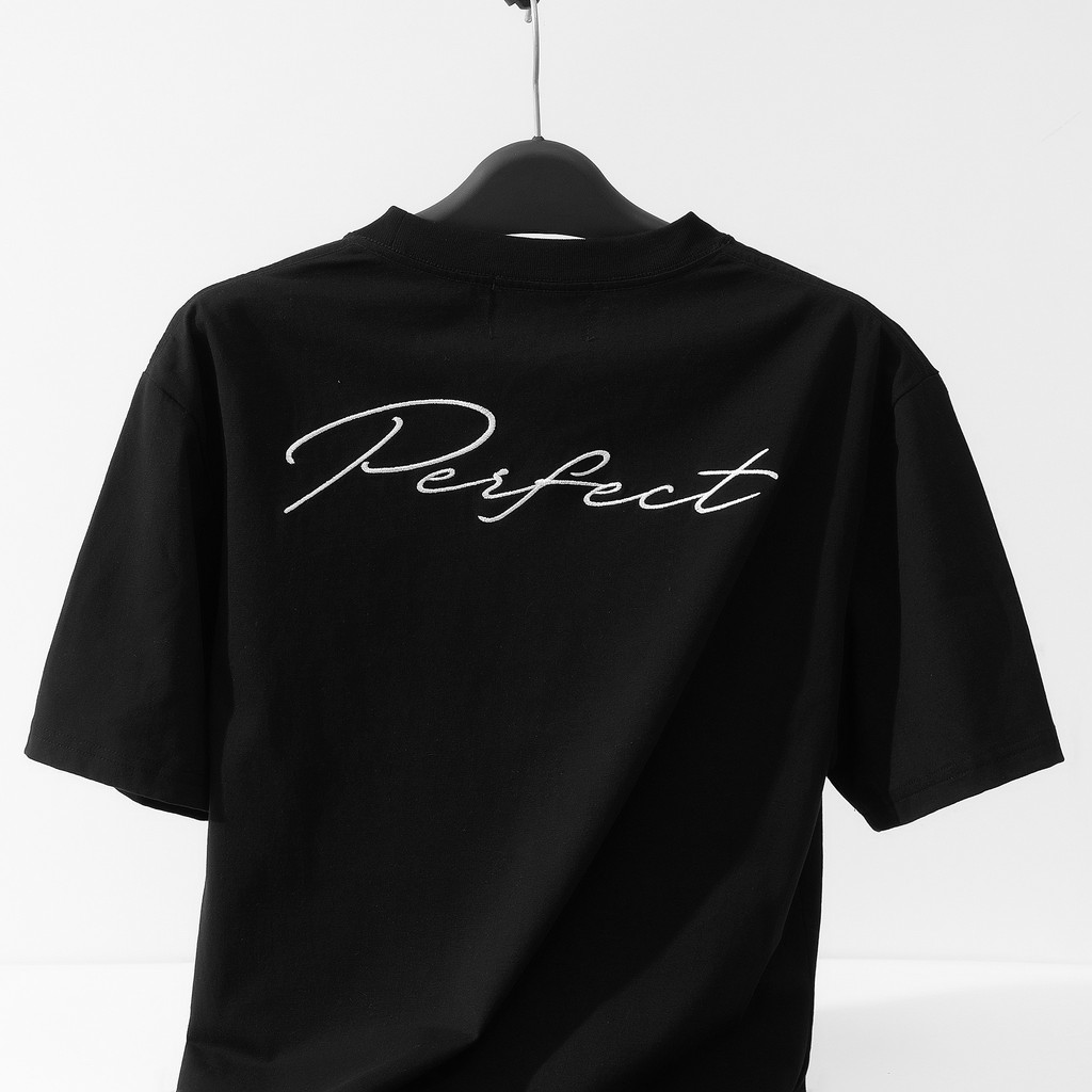 Áo thun nam cổ tròn PEREECT,vải Cotton co giãn,dày dặn, form chuẩn,thiết kế Phong Cách đơn giản,cực đẹp, AREMI ATS0004 | BigBuy360 - bigbuy360.vn