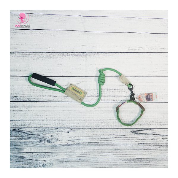 [Mã SKAMLTSM9 giảm 10% đơn 99K] Bộ dây dẫn vòng cổ chó mèo siêu chắc TOUCHDOG - Màu Lục Lam - Dog Paradise