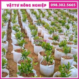 Combo 5 túi vải có quai trồng cây KT: 30x25cm