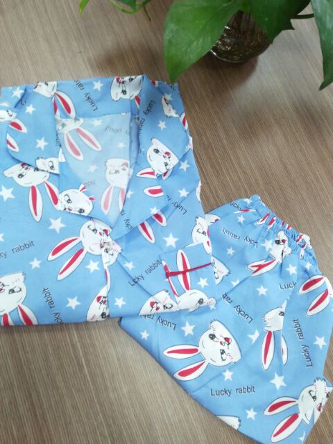 Bộ pijama nữ cộc đùi ( Nhiều mẫu xinh) | BigBuy360 - bigbuy360.vn