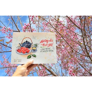 Hồng treo gió Đà Lạt