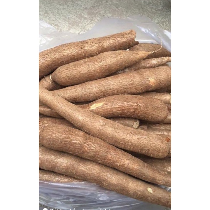 ] 7 KG CỦ KHOAI MÌ RUỘT TRẮNG DẺO.