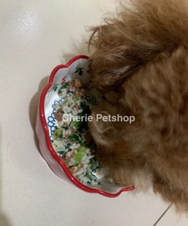 Pate Hug - Pate cho Chó gói 120g