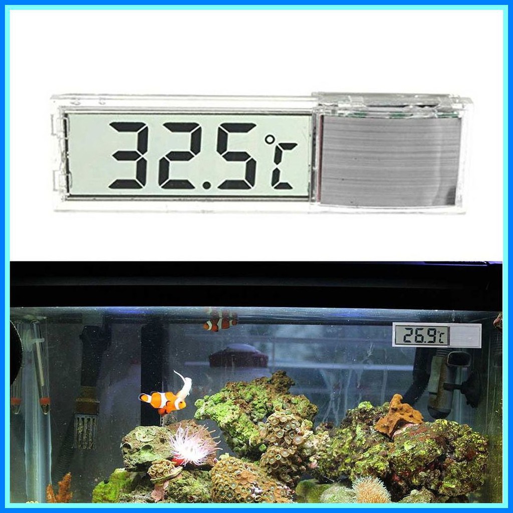 Nhiệt kế điện tử đo nhiệt độ nước bể cá