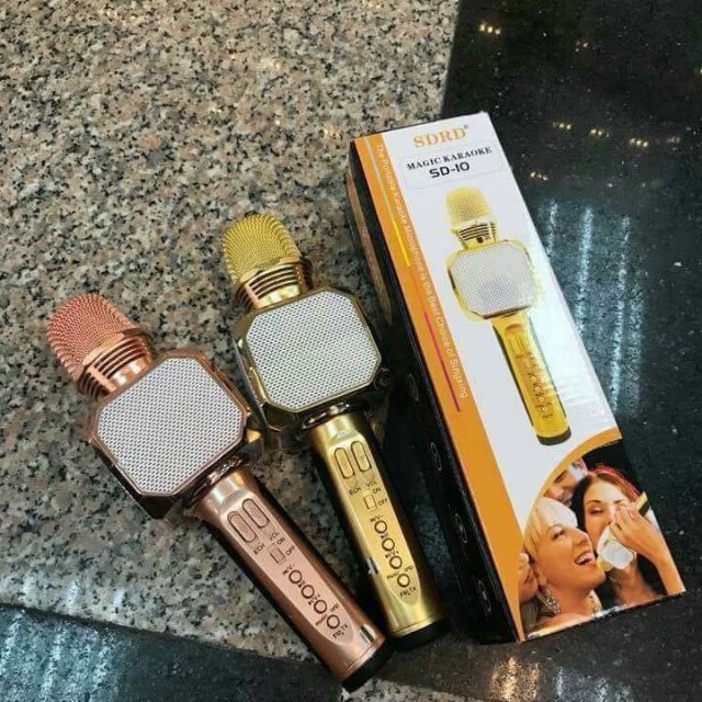 Mic hát karaoke SD10