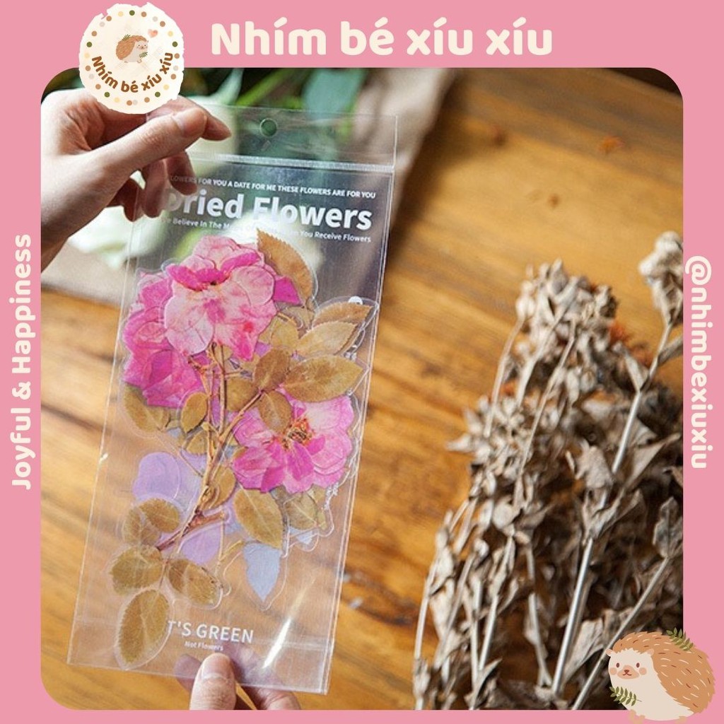 Sticker giả hoa khô vintage size lớn hình dán dried flower VT166